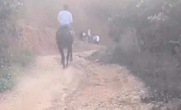 男子路上“策马奔腾”，潇洒一回代价太大