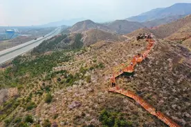 恢复开放！图片