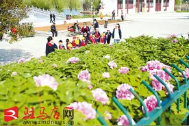 牡丹花开 瓠城春美图片