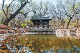 运河北源重现“龙泉漱玉”历史盛景图片