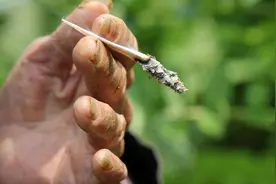 作家在线|杨四五：平凡图片