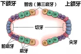 智齿是会呼吸的痛图片