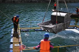 583吨“净水鱼苗”陆续投放密云水库图片