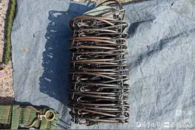 童年抓老鼠图片