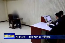 因吸烟引发山火！烟台两名男子被刑拘！图片