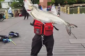 翘嘴红鲌泛滥！西昌邛海今年再次征集全国钓友路亚垂钓治理，年卡每张3千元图片