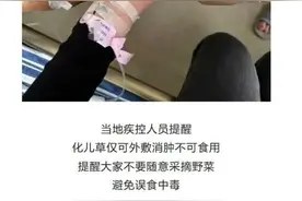 警惕！一家6口扫完墓集体中毒图片