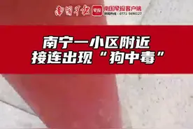 南宁一小区附近出现不明食物残渣，多条宠物狗途经此处后死亡图片
