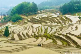 春天来了，到处洋溢着春天的气息图片