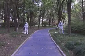 当心！这种致命小虫进入活跃期，已有人中招！图片