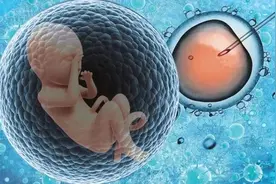 什么是第三代试管婴儿技术？适用哪些人群？松江医生为你解答丨健康智慧屋图片