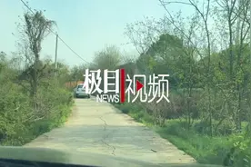 湖北村民收养聋哑小伙28年，村民说：他们真是把他当亲儿子图片