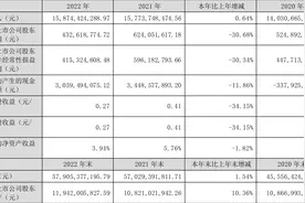 现代投资：2022年净利润同比下降30.68% 拟10派1元图片