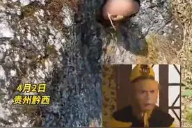 男子头卡景区石缝，网友：500年后唐僧会来救他图片