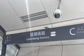 燕子来时春正好，成都这些地方鸟儿又来筑巢啦图片