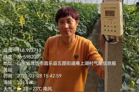 让蔬菜少用药多呼吸活性氧 寿光大棚用上了“空气净化器”图片