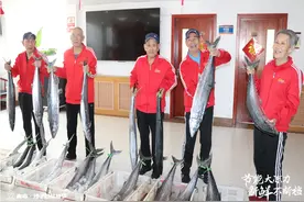 【沙子口鲅鱼节】“鲅鱼之礼•传承孝道” 春鲅鱼新鲜上市，送老人树文明新风图片