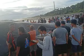 （外代一线）搁浅图片