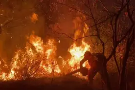 广西河池市金城江区突发森林火灾  目前无人员伤亡图片