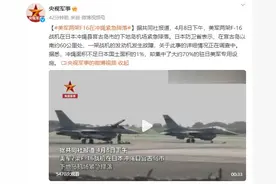 美军两架F16在日本冲绳紧急降落图片