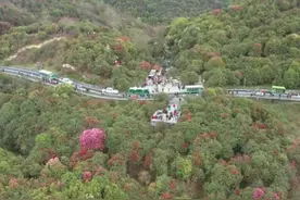 繁花似锦！索玛花开出花期之外的“花样经济”图片