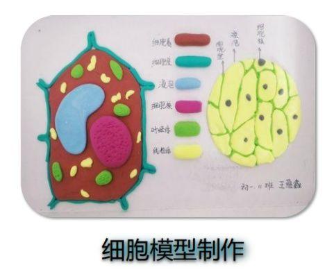 北京师范大学南山附属学校：优化作业设计，创“新”更用“心”