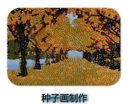 北京师范大学南山附属学校：优化作业设计，创“新”更用“心”