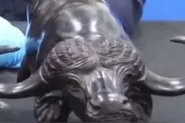 海关在入境行李中查获多件违规物品：已经濒危，求放过图片