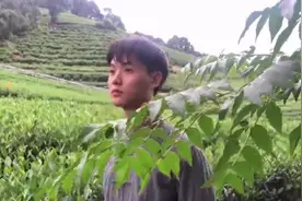 00后制茶师：心静“炒”出一盏好茶图片