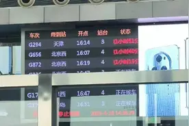 多趟高铁列车晚点运行 武汉洛阳郑州东等火车站发提醒并致歉图片