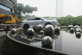 一个举动或赔10多万！30年驾龄司机：整个过程就几秒，我都懵了图片