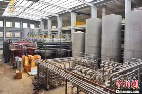 “全国产粮大县”德州平原做强农产品深加工 打造中国北方“食谷”图片