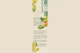 蕙兰图鉴：妍而不艳，美而不媚图片