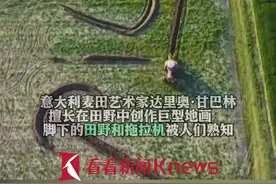 纪念毕加索逝世50周年！意大利麦田艺术家又出山图片
