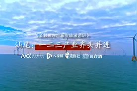乡村振兴广东实践深调研｜汕尾：推进特色产业赋能视频封面
