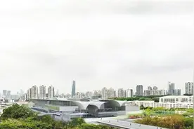 深圳城市生态新地标！红树林湿地博物馆落址深圳湾畔图片