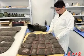 这套春秋皮甲胄中国最早，湖北省博物馆正精心还原图片