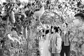 本科毕业论文抽检“检”出了什么图片