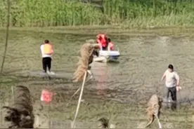 男孩景区意外落水，父亲救子时溺亡；最新回应图片