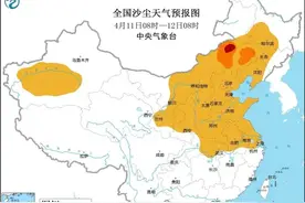 沙尘再次来袭，农业生产如何应对？图片