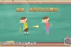 很多人都搞错了！腿痛可能是这个地方声东击西 找到病根是关键图片