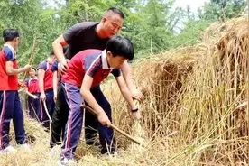 山东加强劳动教育 要求中小学每周1节劳动课图片