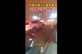 内蒙古强沙尘暴来袭，白昼瞬间变“黑夜”图片