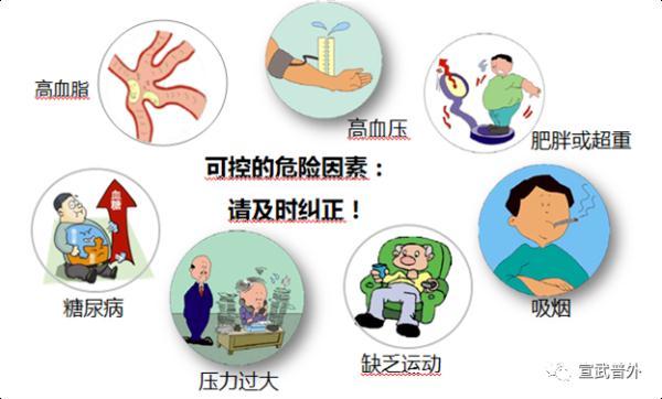 我血脂高了怎么办？