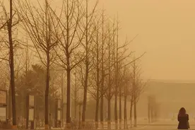 内蒙古本周或将再迎沙尘，今年沙尘为何这么多？图片