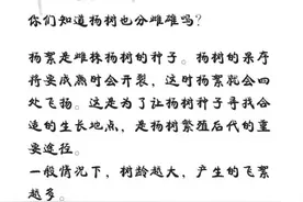 沙尘还没走，“毛毛雨”就强势来袭？如何防范？图片