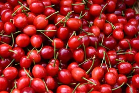 20元/斤！毕节这里的樱桃熟了图片