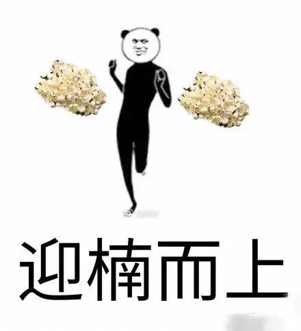 胶花哪里有买 2026年胶花在哪里能买到