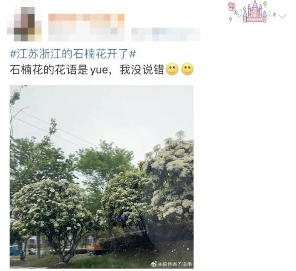 胶花哪里有买 2026年胶花在哪里能买到