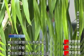 受害老人被这个“养老投资项目”榨干毕生积蓄，1400多人被骗，涉案金额2000多万元……图片